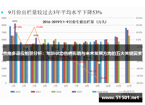 费南多退役前景分析：年龄状态伤病影响与未来发展方向的五大关键因素